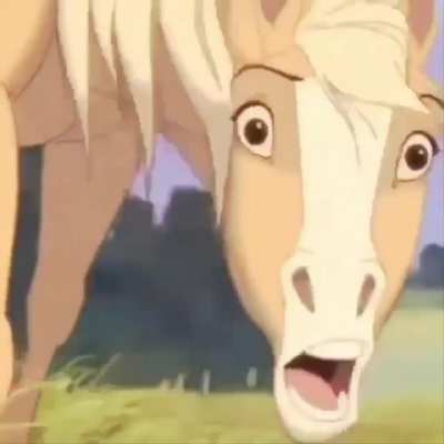 BRUH MOMENT