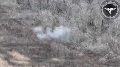 47th Brigade Bradley obliterating Russian infantry near Avdiivka, 2023