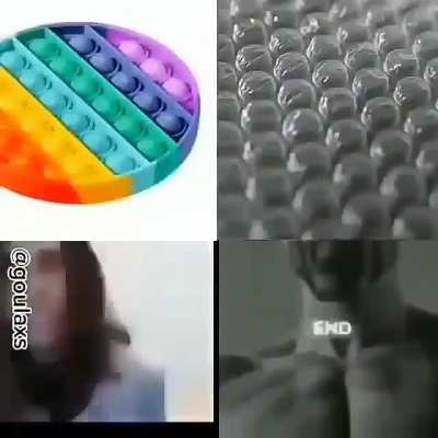 Macho de mais