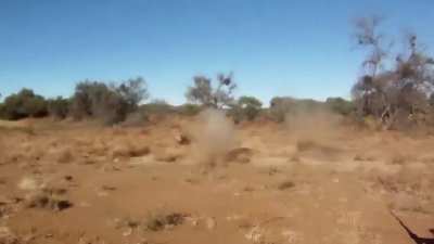 Documentary film maker gets discovered by a group of lions he was filming