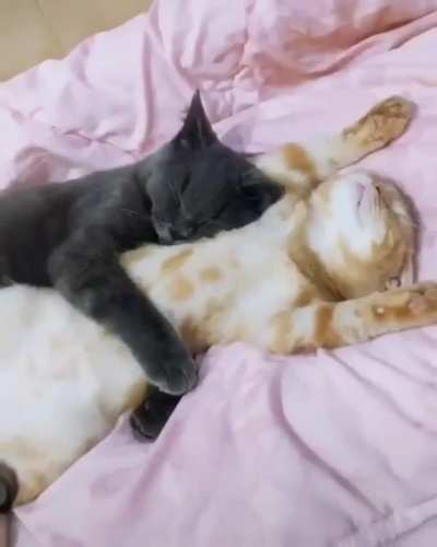 Sleep tight