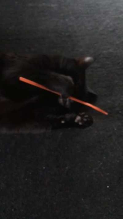 Pussy