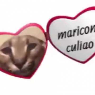 hola