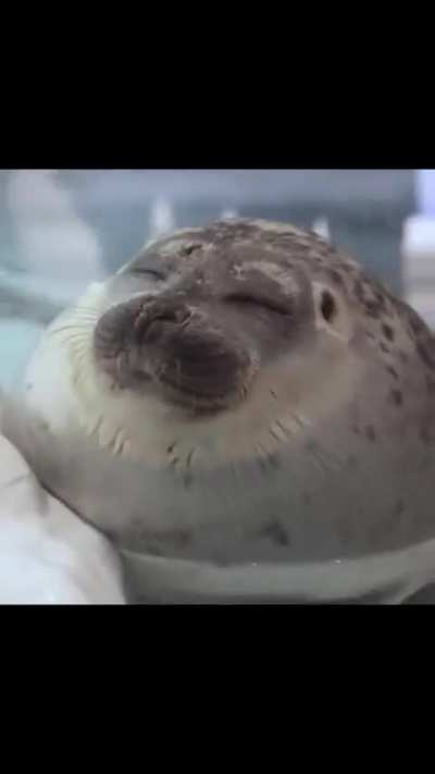 ㅤ