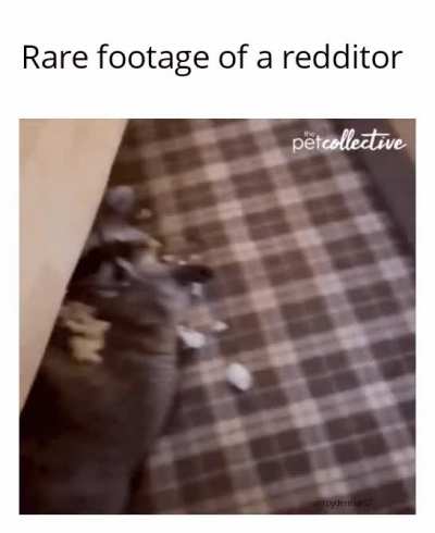 Holy heck they found us