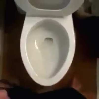 Boi