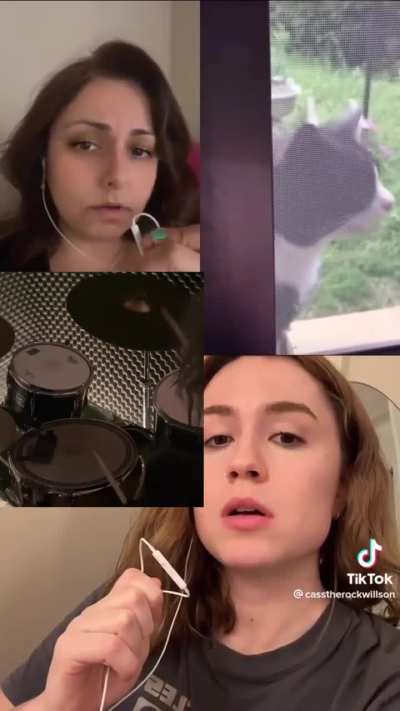 Meow thugz N harmony