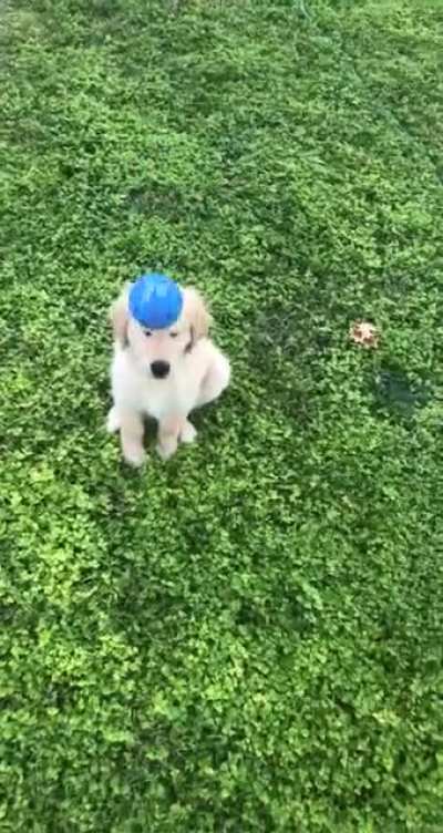 We are still working on the whole catching thing