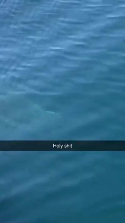 Let's enjoy a nice day on the water...NOPE