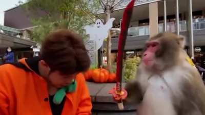 monky boss fight