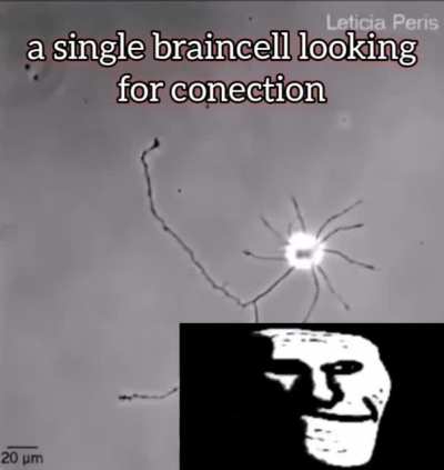 looks familiar