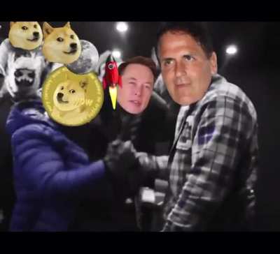 Doge ain't dead ! Doge ain't dead !