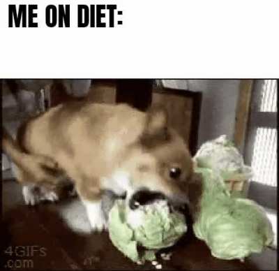 Typical diet