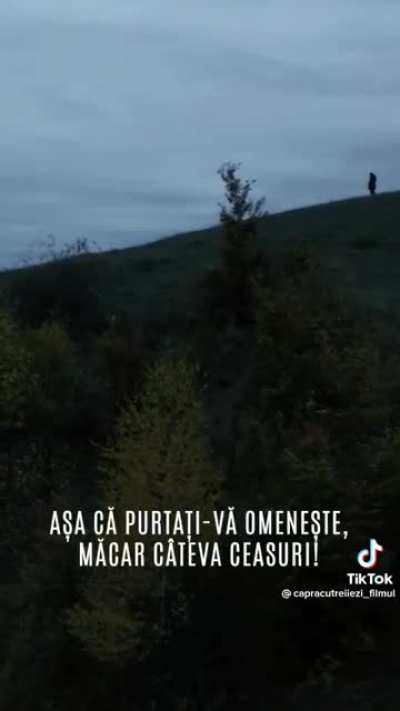 trailer oficial Capra cu trei iezi