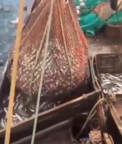 Catch of the day!