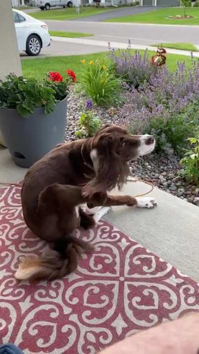 Perfectly cut woof
