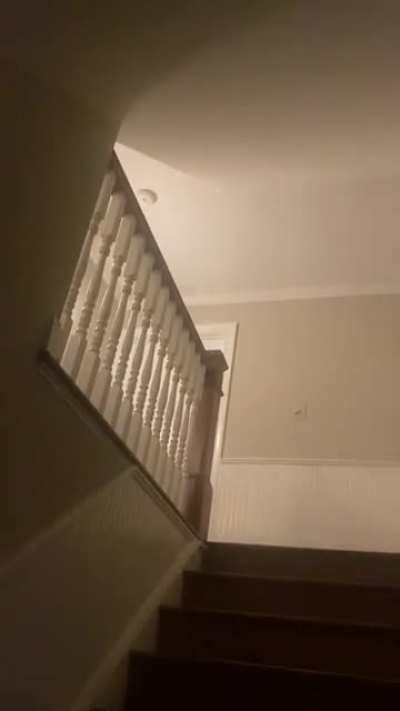 This place I’ve been staying at has been doing weird things. I keep wondering how the dogs go in and out while all the doors are closed. Not one door stays shut. The flickering lights in the vid, not sure what that static is either. Anyone?