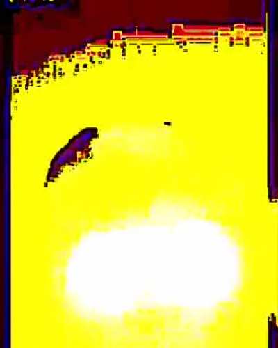 Virgin