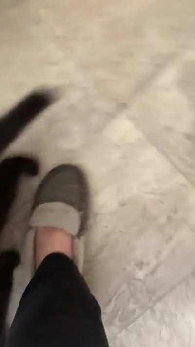 She&rsquo;s still working on her yell