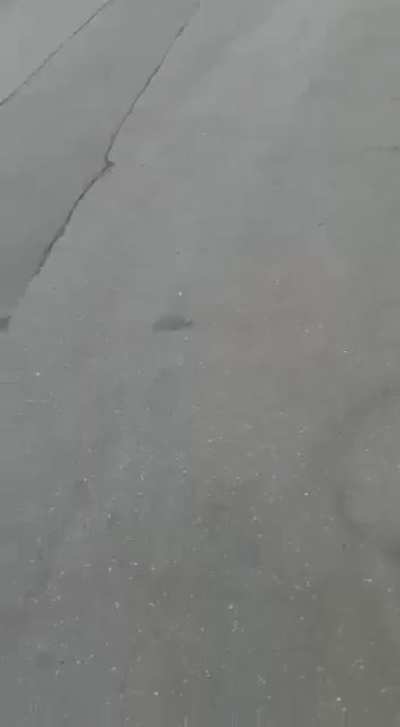 Видео задержания моей матери вчера. В комментариях под постом на эпике