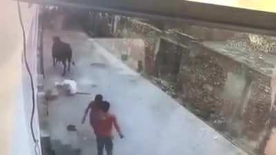 WCGR hitting a bull for absolutely no reason