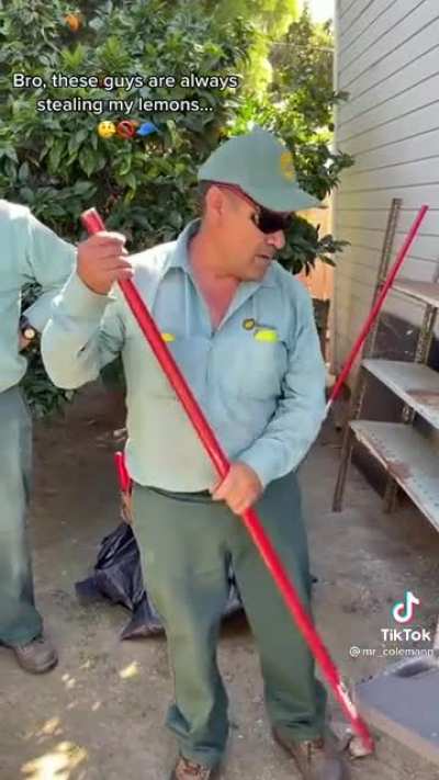 Guy gets mad at landscapers for taking a few fallen lemons off the floor .