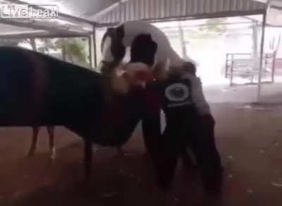 Never stand between a horny dude ant his target.