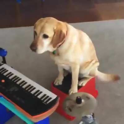 This Golden&rsquo;s first single drops Saturday called &ldquo;Pawfectly Good Jazz&rdquo; on the WetHydrant record label.