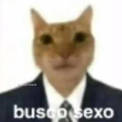 Cat seg