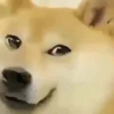 sus sus sus amogus