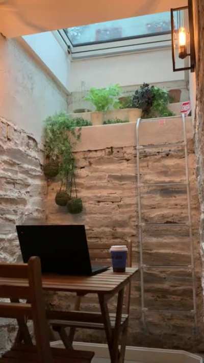 A nook in my air bnb with a skylight. I&rsquo;ll be here all day tyvm.