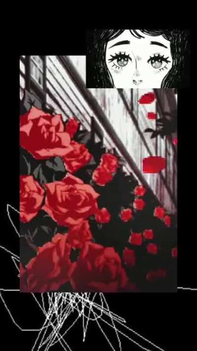 porterr-mirror.mp4