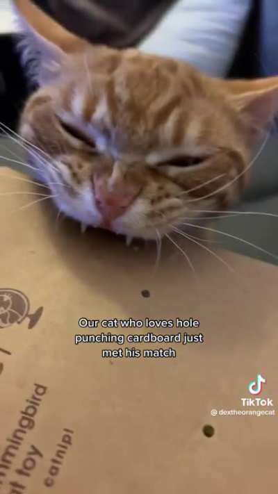 Cardboard teefies