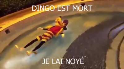 bien fait dingo