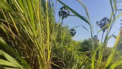 [Myanmar/Burma] PDF (People's Defense Force) rebels attack junta forces with small arms and mortars in Yesagyo Township, Magway Region (November 25-27)