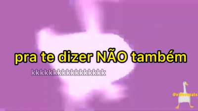 Pato reto