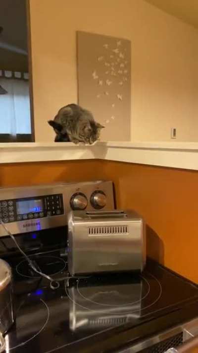 This toast is taking a whi&hellip;