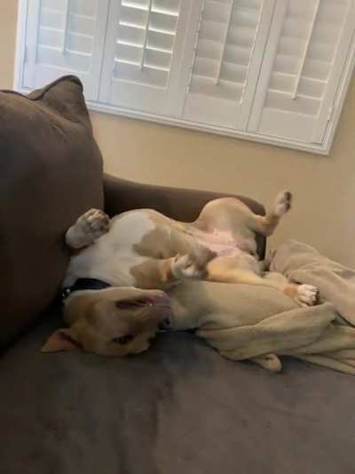 I didn&rsquo;t get the first part on video. She&rsquo;s on the couch, she stuck her head underneath and did a somersault and then did this.