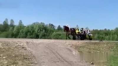 DAMN: Car Hits Horse &amp;amp; Buggy Traveling On a Public Road