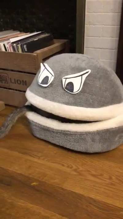 putting eyes on the cat&rsquo;s bed gives the best result