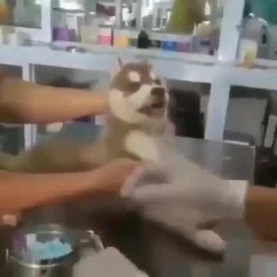Quando eu vou tomar inje&ccedil;&atilde;o