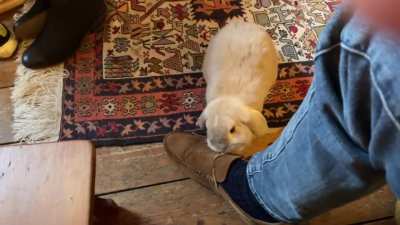 That&rsquo;s cool, I didn&rsquo;t need laces anyway
