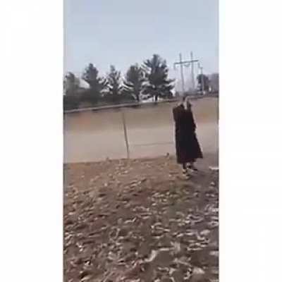 Women calls the cops on a guy after his dog humps her dog at a dog park
