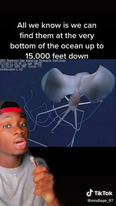 The ocean scares me