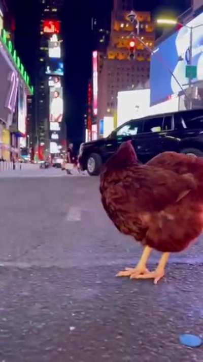 Chicken at Time Square, New York