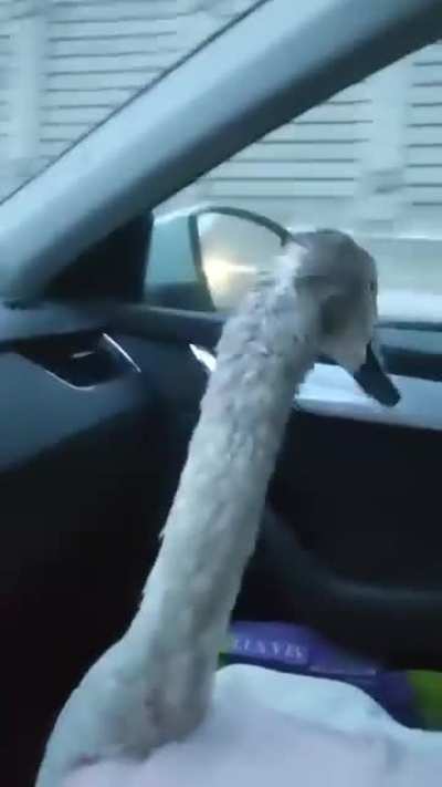 On the highway