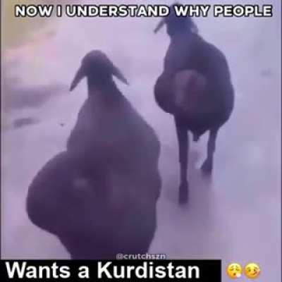 i understand now