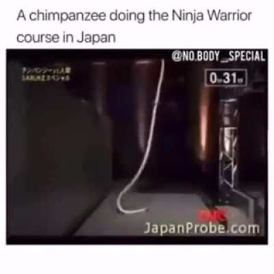 Ninja warrior monke