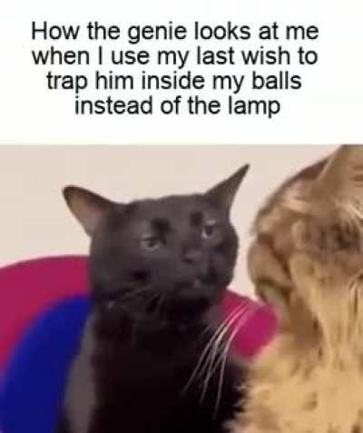 He has no option