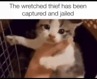 Rule